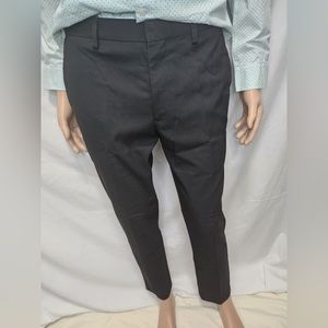 Express Dress Pants